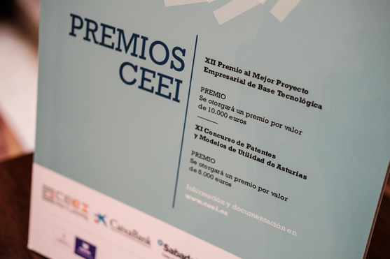 Imagen Entrega Premios CEEI 2017                                   