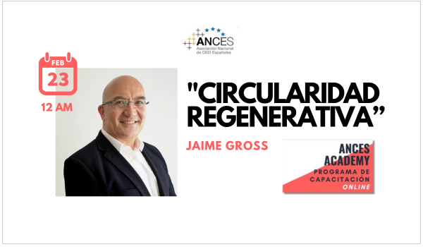 Imagen Ances Academy 