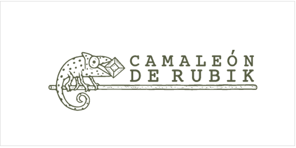 Imagen Jornada Exit en una Startup @El Camaleón de Rubik