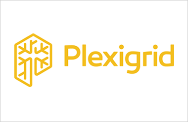 Imagen noticia:  PLEXIGRID llega a la fase nacional de los PEXXI